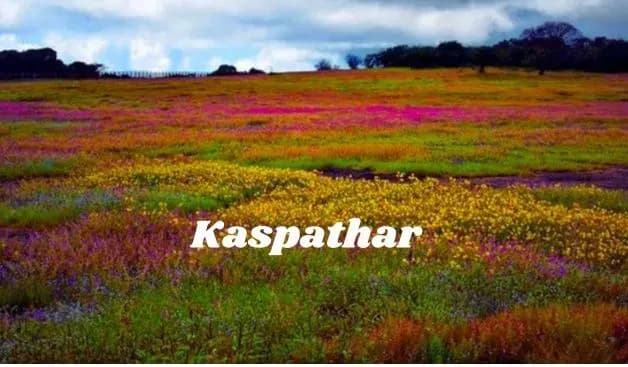 Strawberry kas pathar view